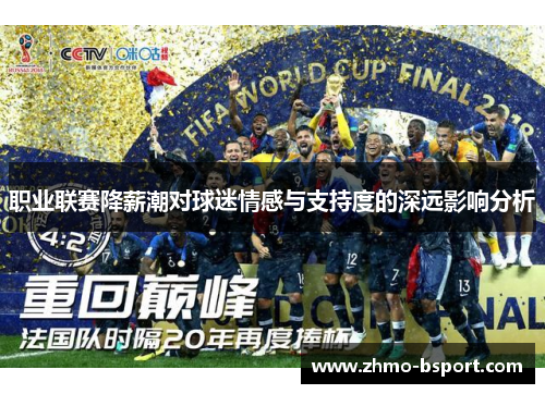 职业联赛降薪潮对球迷情感与支持度的深远影响分析